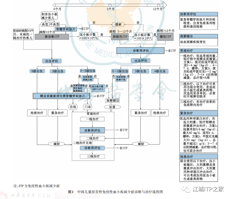 指南共识 | 中国儿童ITP诊断与治疗改编指南(2021版)-ITP家园