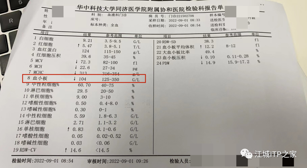 病友故事 | 一个决定,改变了我的一生-ITP家园