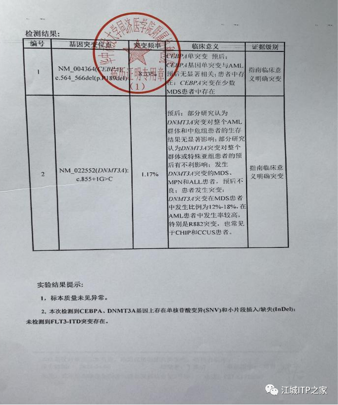 大咖谈病例 | 梅恒教授点评—肿瘤化疗后血小板减少症(CIT)病例解析-ITP家园