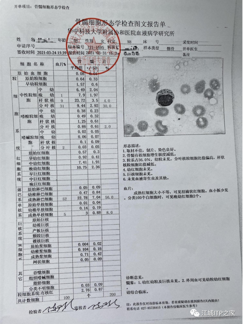 大咖谈病例 | 梅恒教授点评—肿瘤化疗后血小板减少症(CIT)病例解析-ITP家园