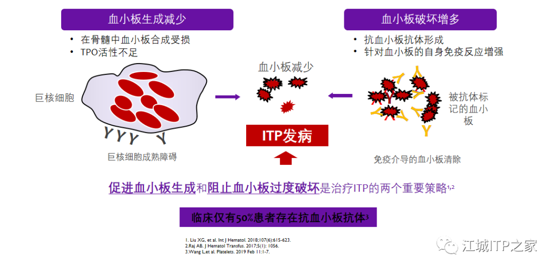 专家讲座 | 梅恒教授:成人原发免疫性血小板减少症诊治进展-ITP家园