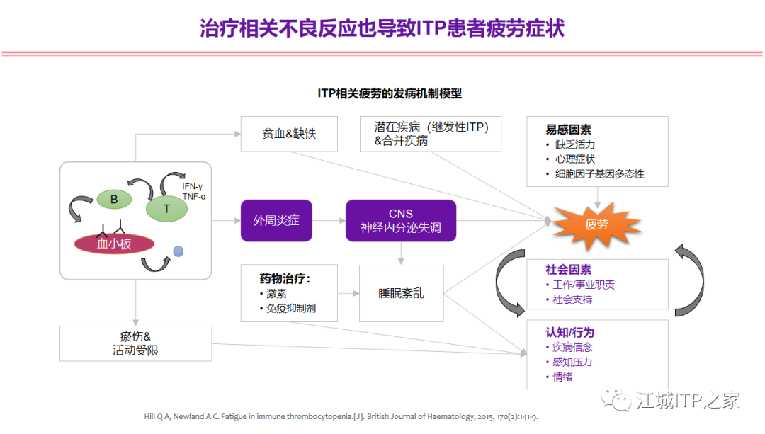 专家讲座 | 梅恒教授:成人原发免疫性血小板减少症诊治进展-ITP家园