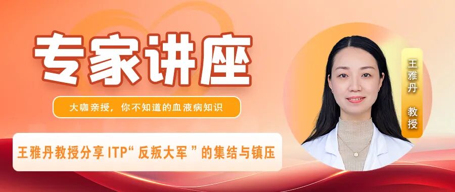 专家讲座｜王雅丹教授分享ITP“反叛大军”的集结与镇压（上）