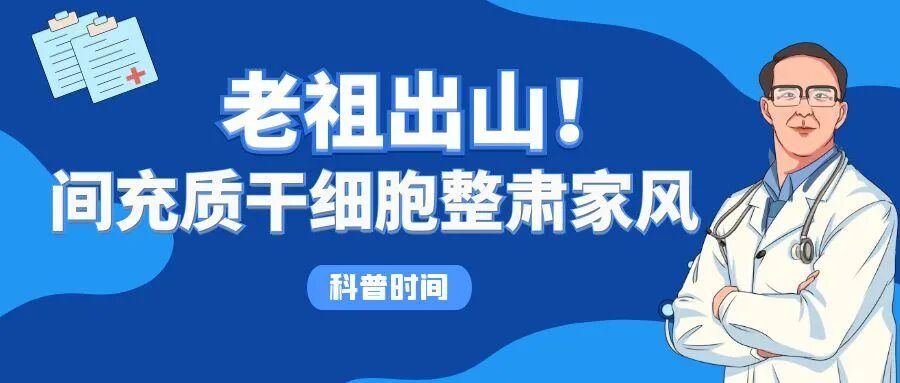 科普时间｜老祖出山！间充质干细胞整肃家风