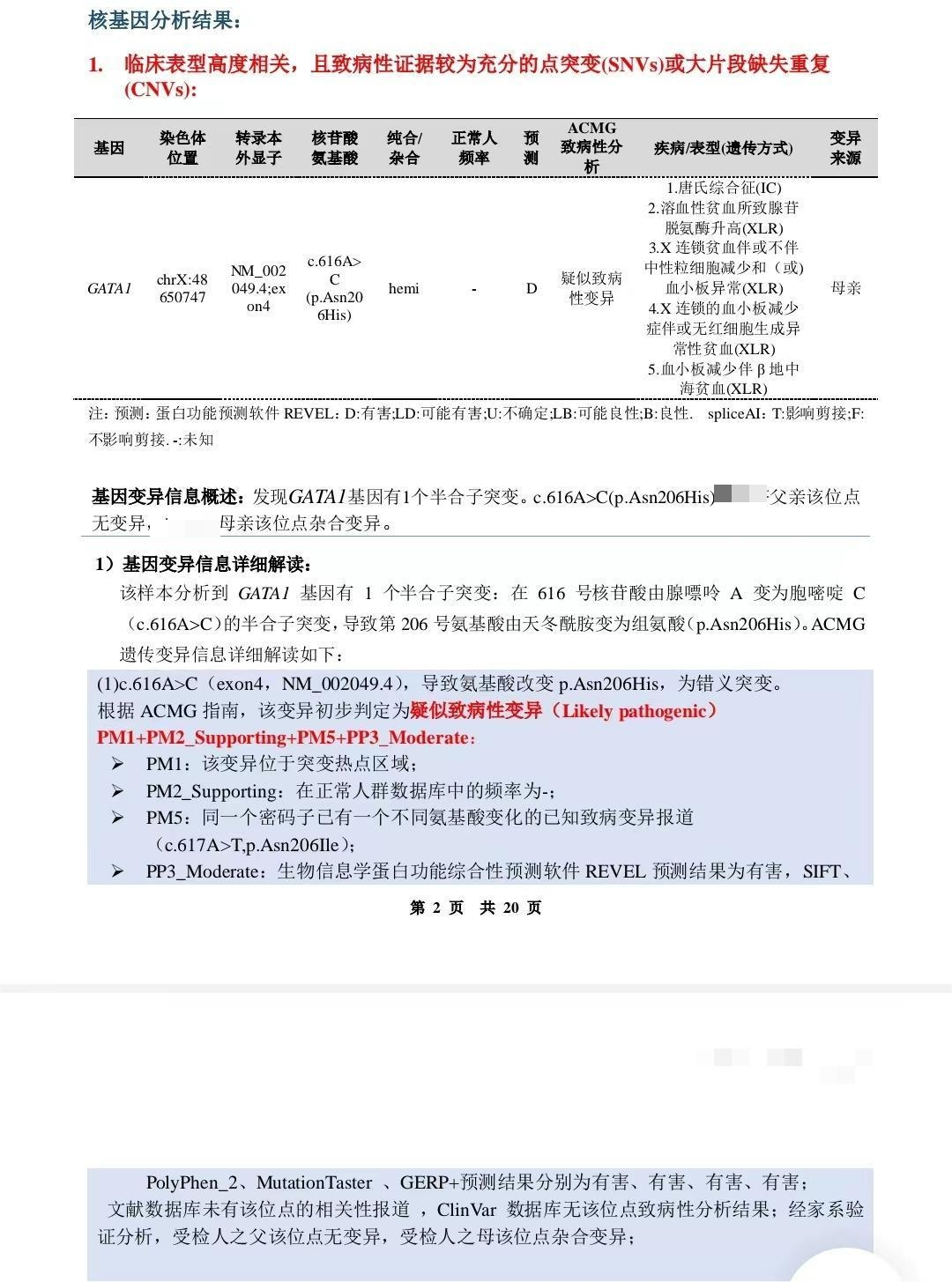 大咖谈病例|石艳教授分享——推陈出新!ITP诊疗更新啦!-ITP家园