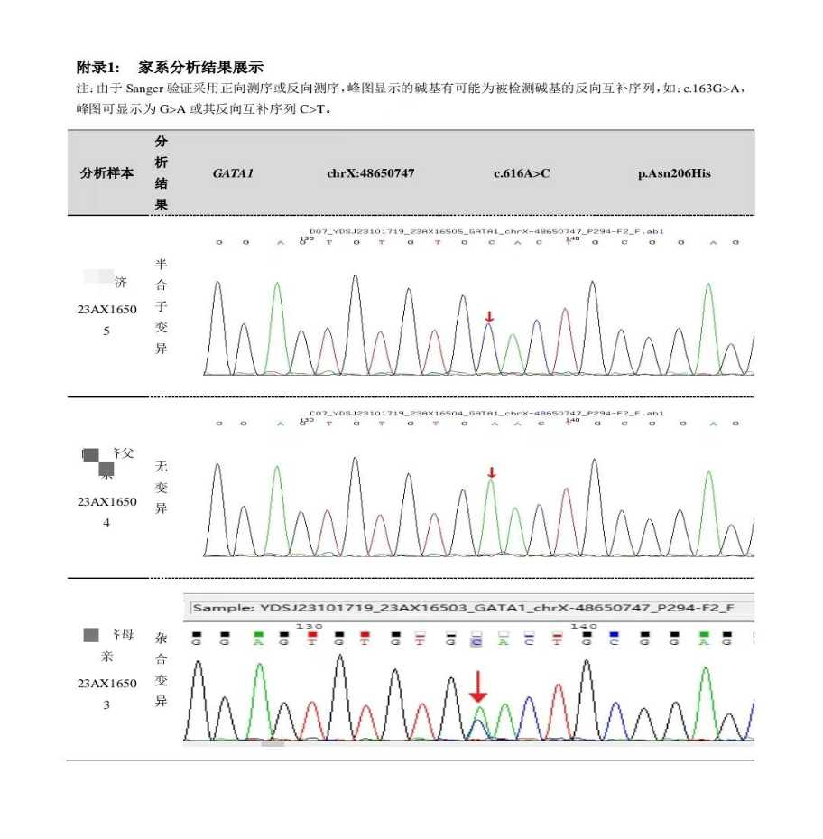 大咖谈病例|石艳教授分享——推陈出新!ITP诊疗更新啦!-ITP家园