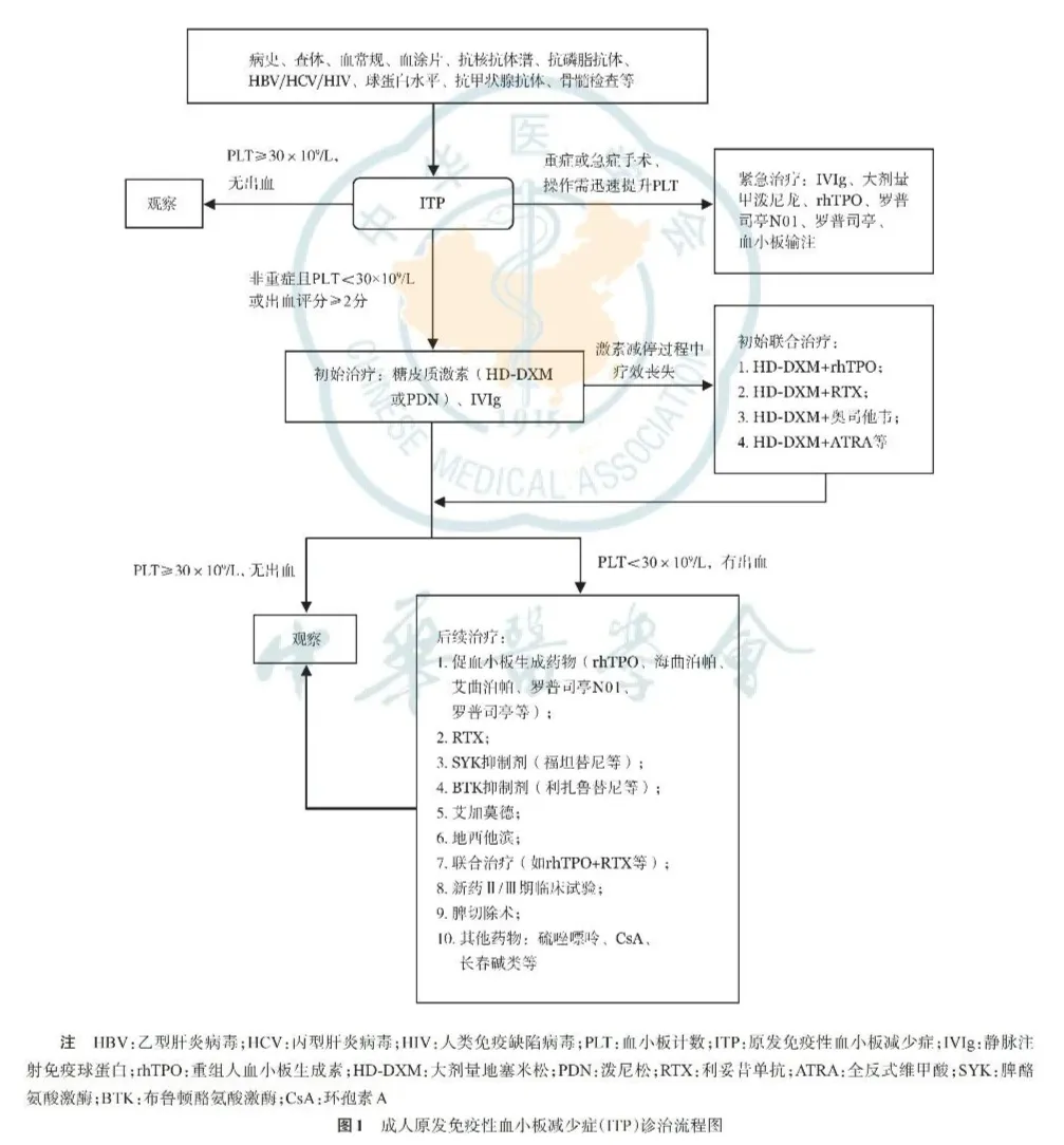 疾病指南 | 成人原发免疫性血小板减少症诊断与治疗中国指南（2025年版）-ITP家园