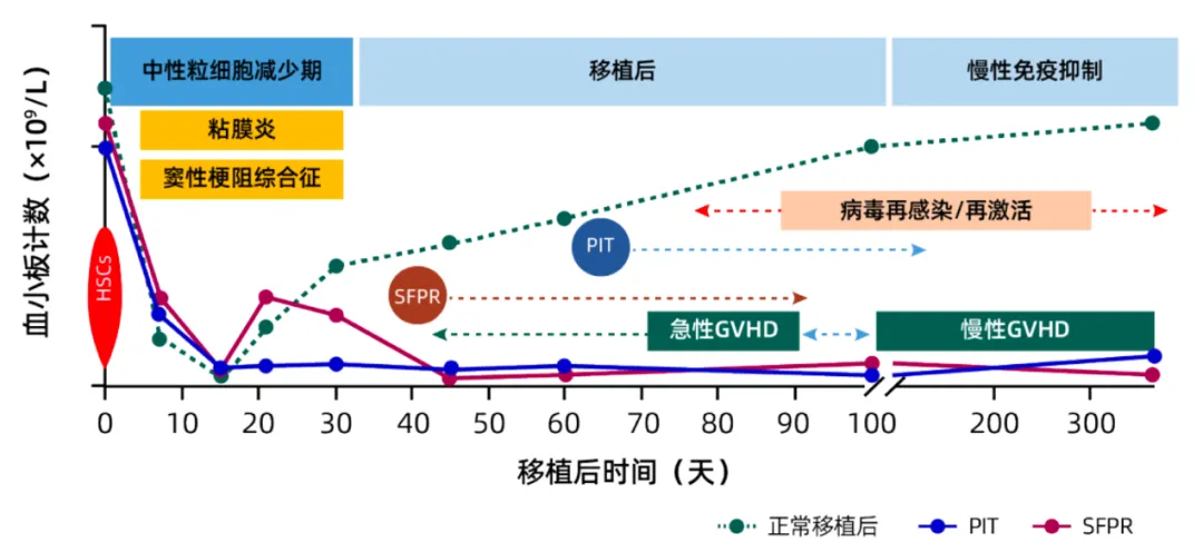 专家讲座|郭燕教授分享移植后的隐形危机——血小板“不在岗”!-ITP家园