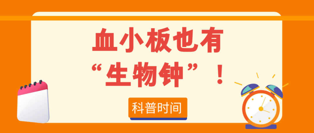科普时间｜血小板也有“生物钟”！